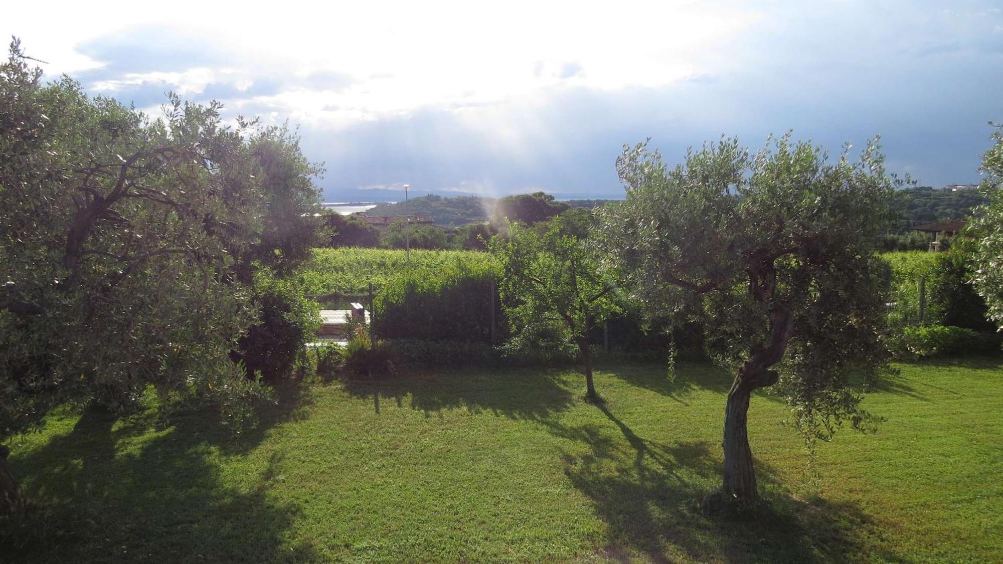 Il Gelso Di Barcuzzi Lonato Exterior photo