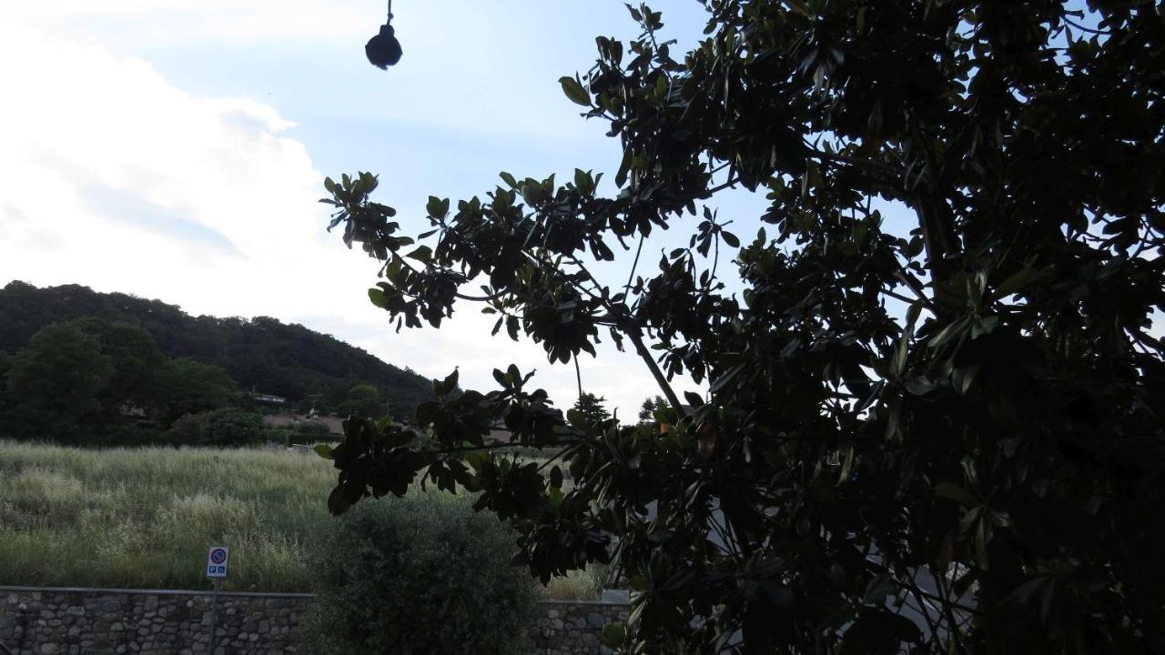 Il Gelso Di Barcuzzi Lonato Exterior photo