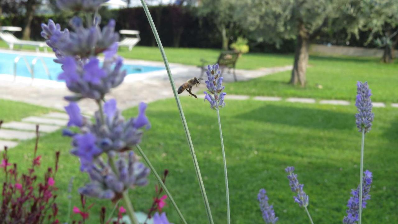 Il Gelso Di Barcuzzi Lonato Exterior photo